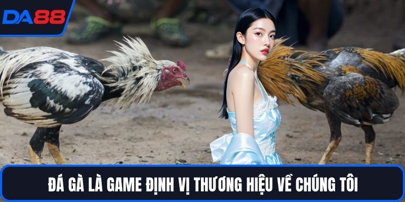 Về Chúng Tôi – Câu Chuyện Hình Thành Thương Hiệu DA88 - Zogo