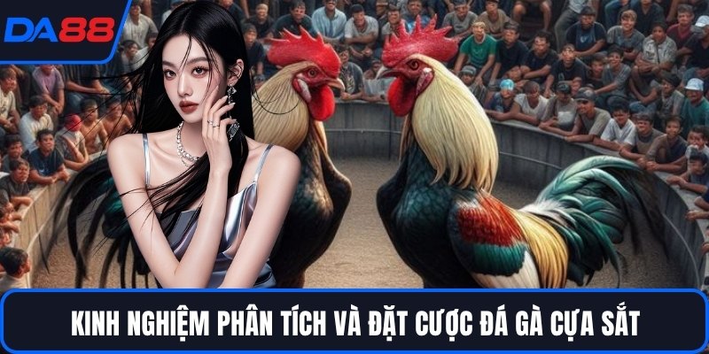 Đá Gà Cựa Sắt - Đấu Trường Của Những Chiến Kê Huyền Thoại - Zogo