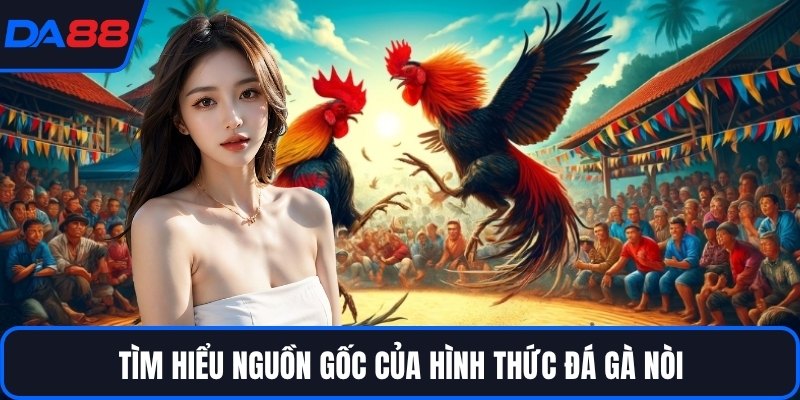 Đá Gà Nòi DA88 - Dòng Chiến Kê Huyền Thoại Trên Sới - Zogo