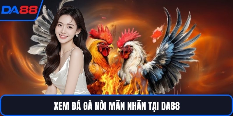 Đá Gà Nòi DA88 - Dòng Chiến Kê Huyền Thoại Trên Sới - Zogo